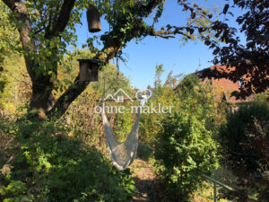 image-64706577