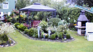 image-62171585