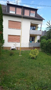 image-64858438