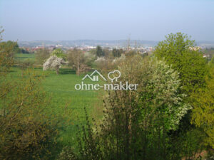 image-64889868