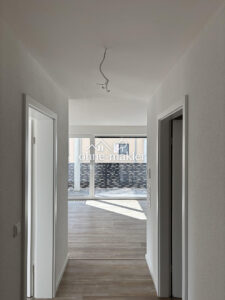 image-64933788