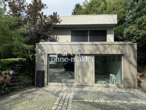 image-65007392