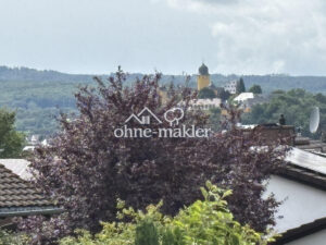 image-65027247
