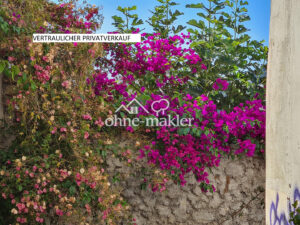 image-65027222