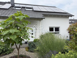 image-65050078
