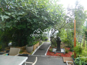 image-65090015