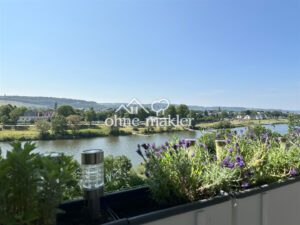 image-65165697