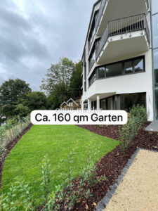 image-65174620