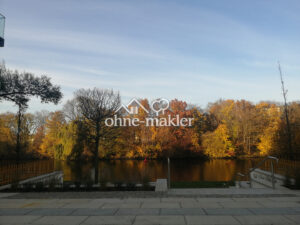 image-65229304