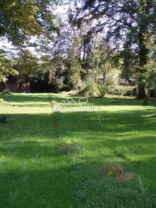 image-65274123