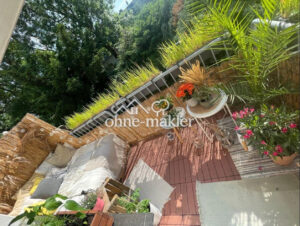 image-65367644