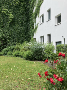 image-65353287
