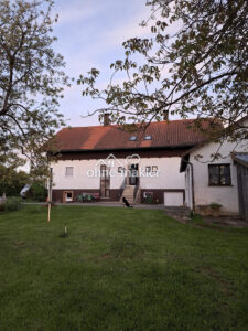 image-65746762