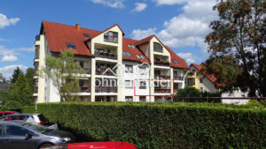 image-65768628
