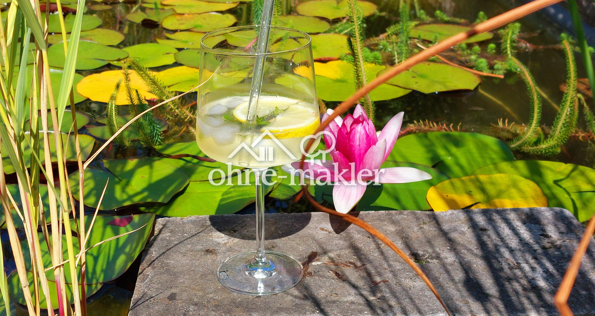 image-66797502