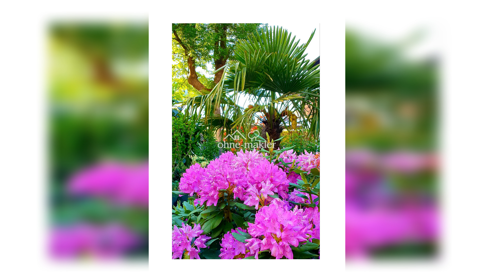 image-66826862