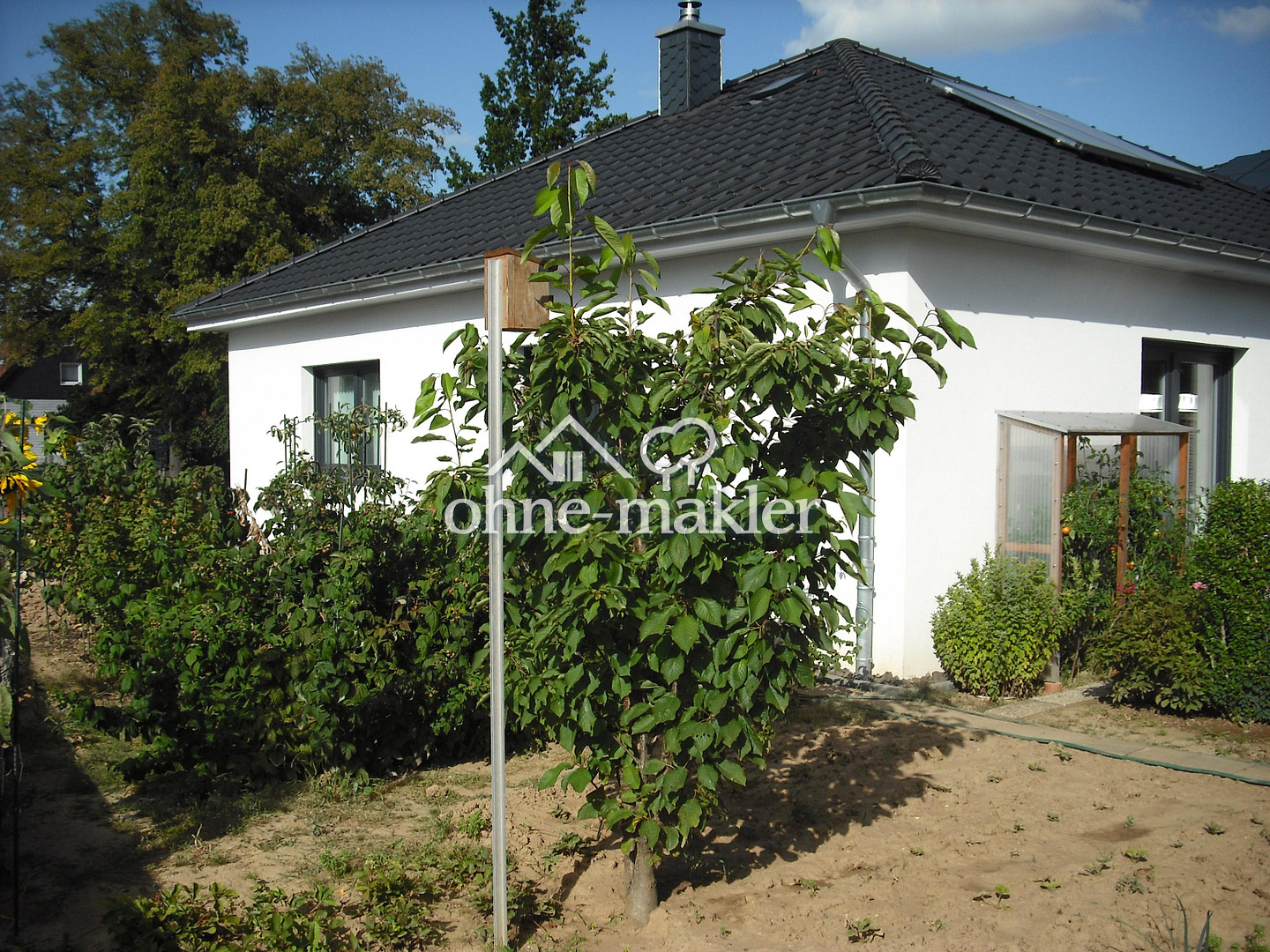 image-67343915