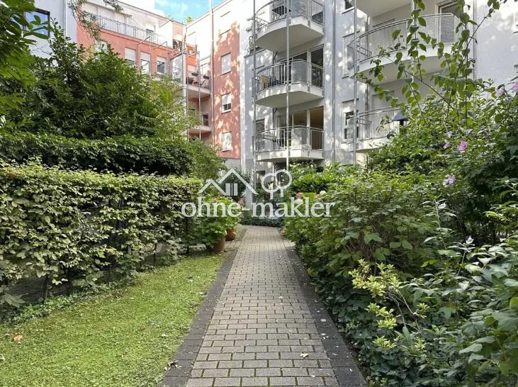 image-67566356