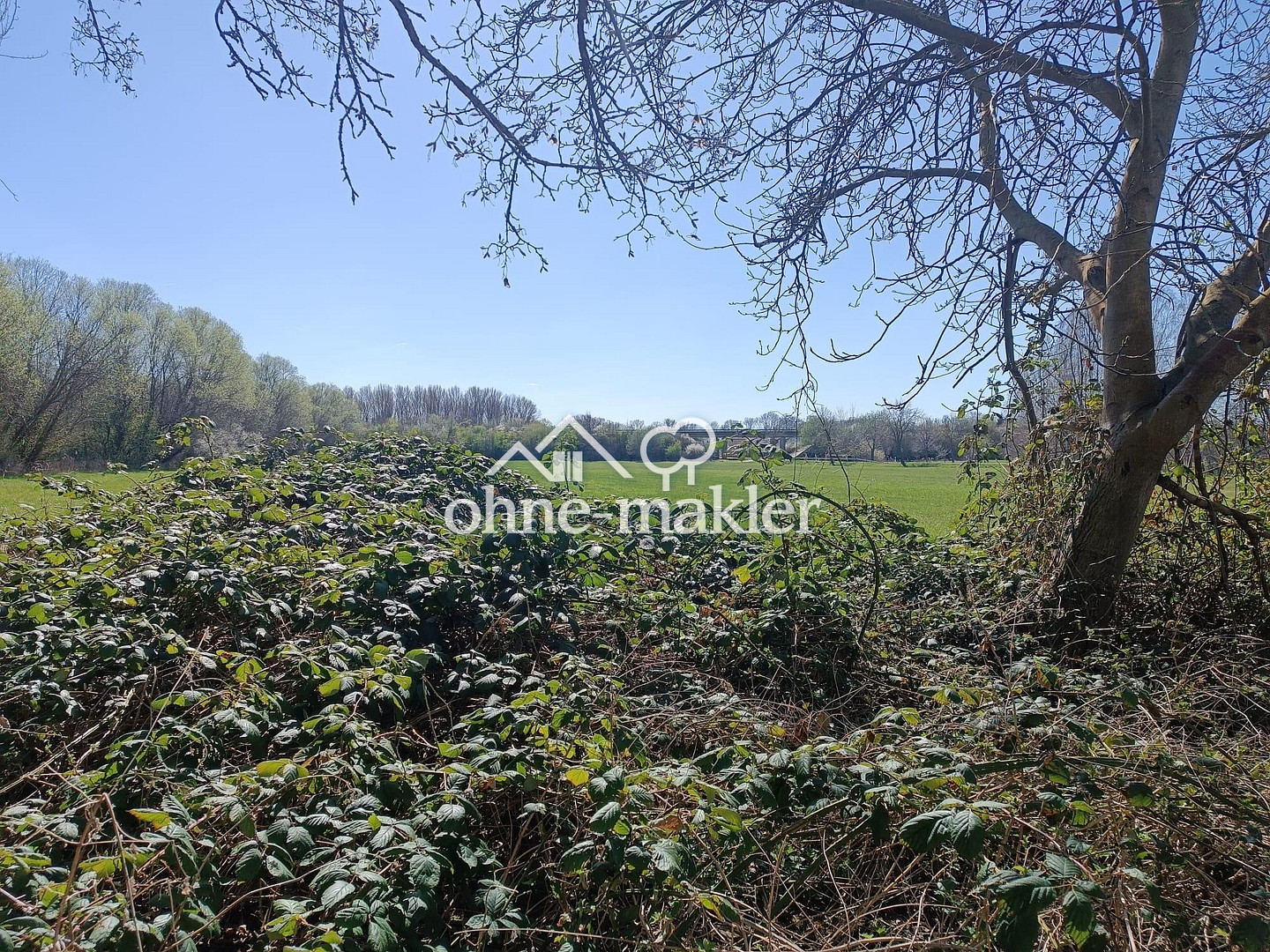 image-67623276