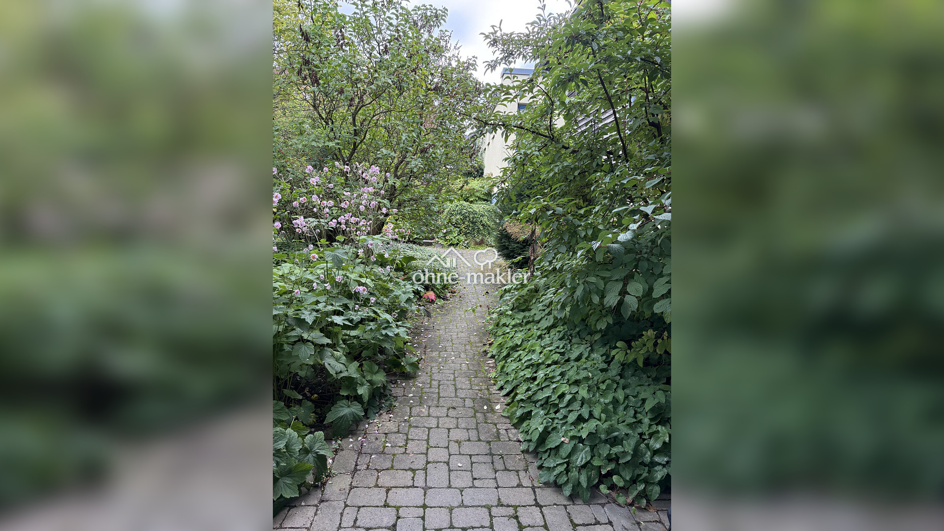 image-67708796