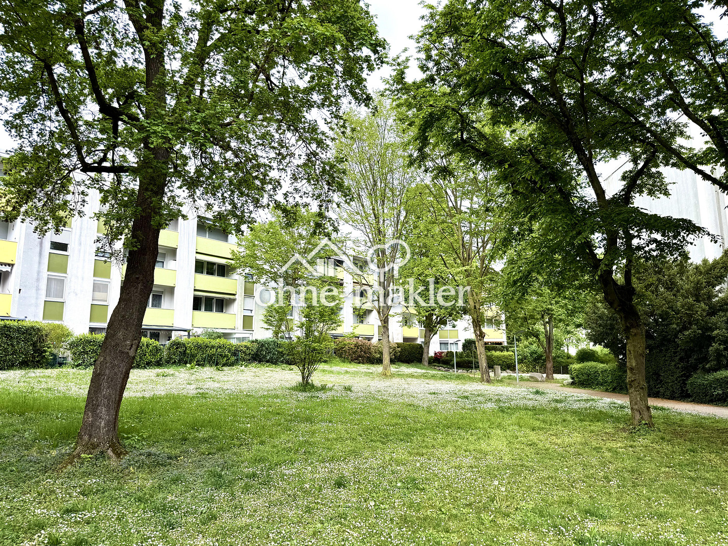 image-67716998