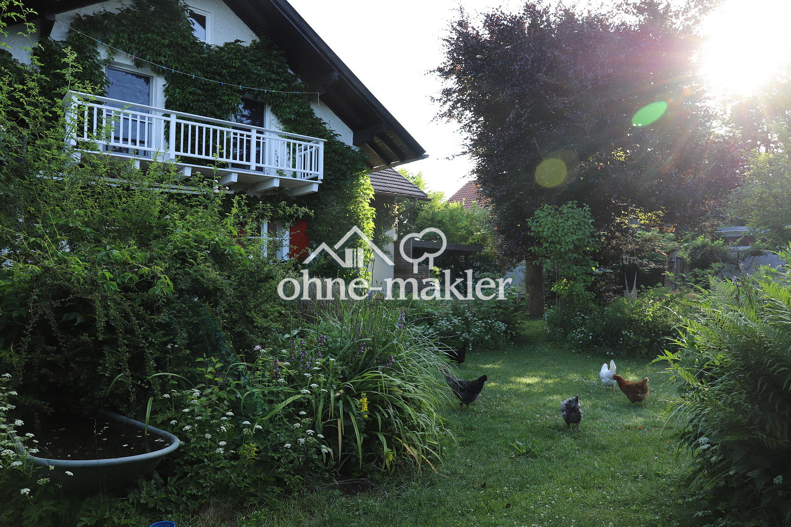 image-67551453