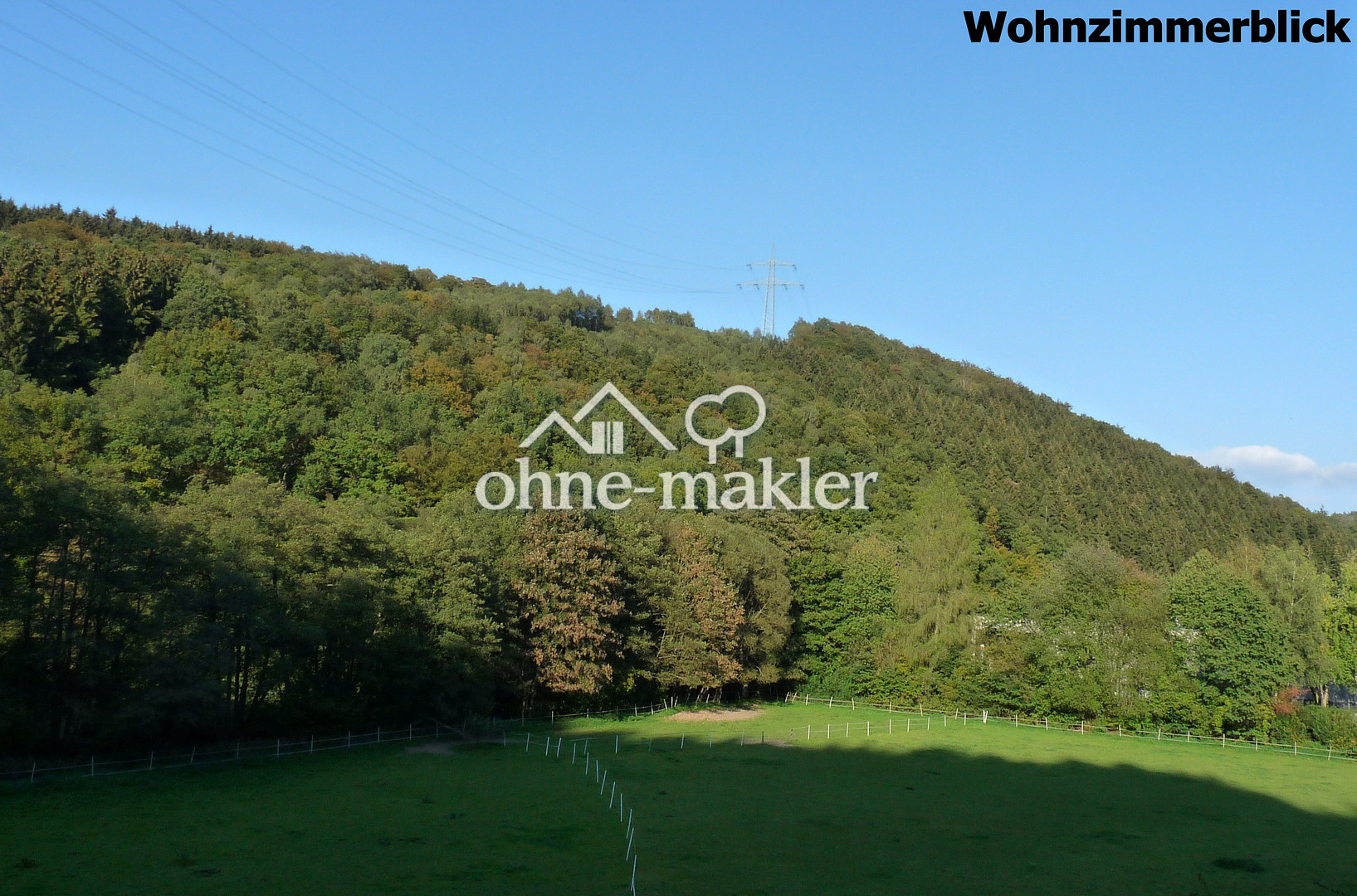 image-68956289