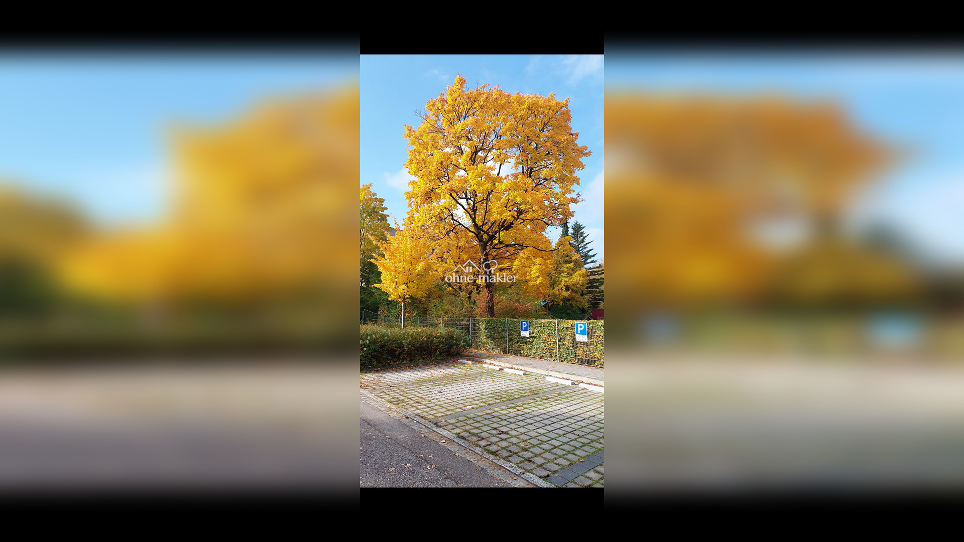 image-69564060