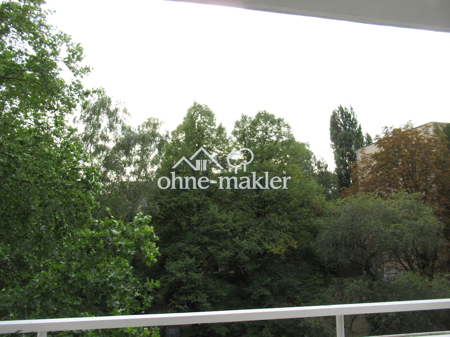 image-70067632