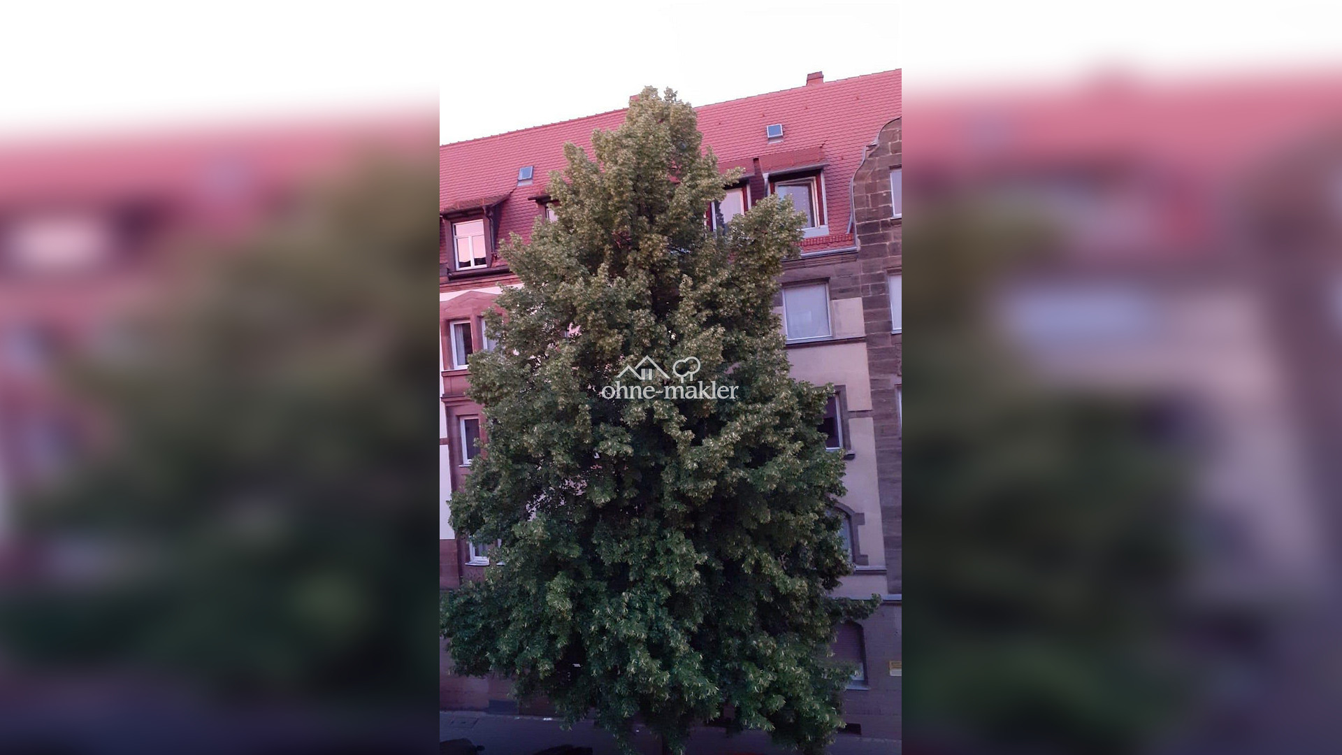 image-70221057