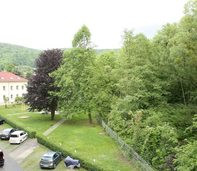 Bild der Immobilie in Pirna Nr. 1