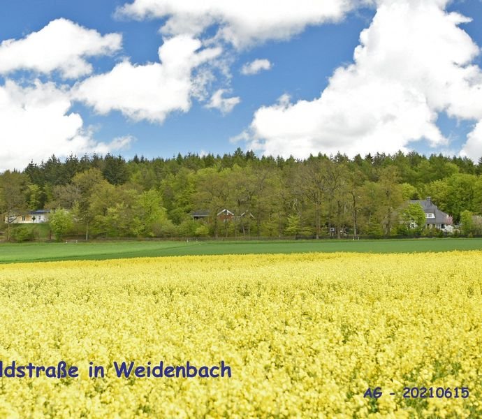 Bild der Immobilie in Weidenbach Nr. 1
