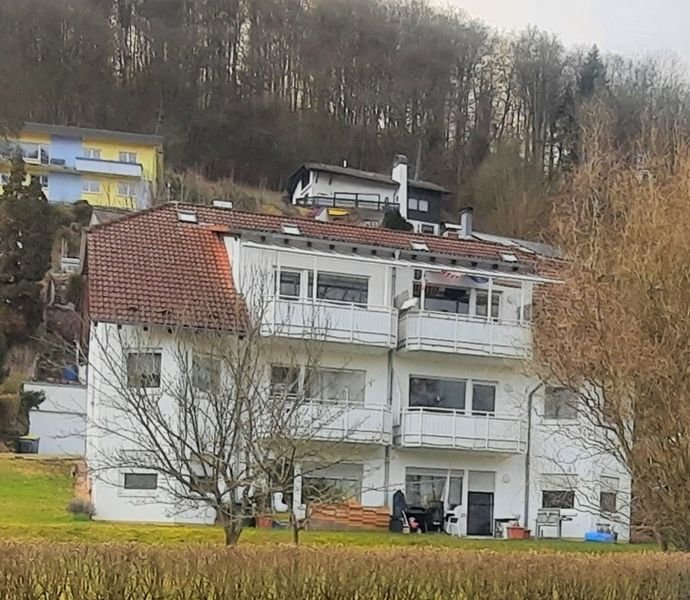 Bild der Immobilie in Haßmersheim Nr. 1