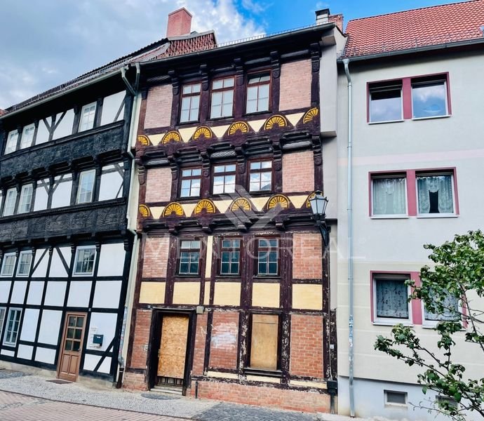 Bild der Immobilie in Halberstadt Nr. 1