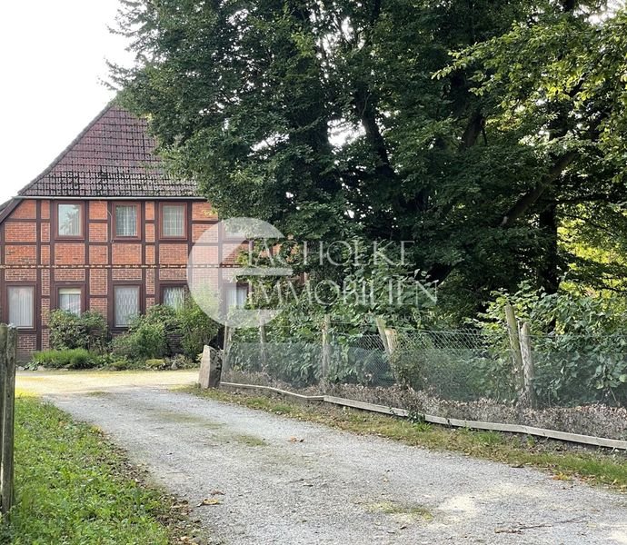 Bild der Immobilie in Altenmedingen Nr. 1