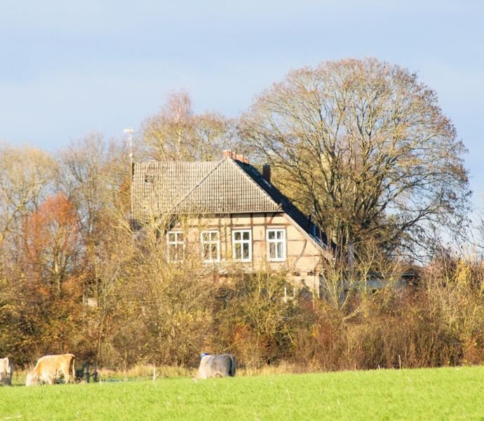 Bild der Immobilie in Walkendorf Nr. 1