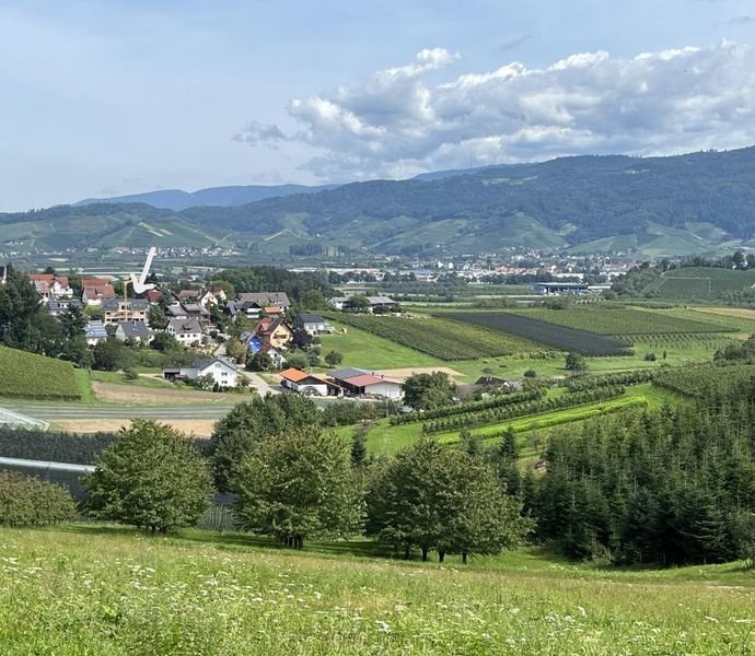 Bild der Immobilie in Oberkirch Nr. 1