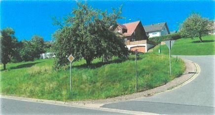 Bild der Immobilie in Heinrichsthal Nr. 1