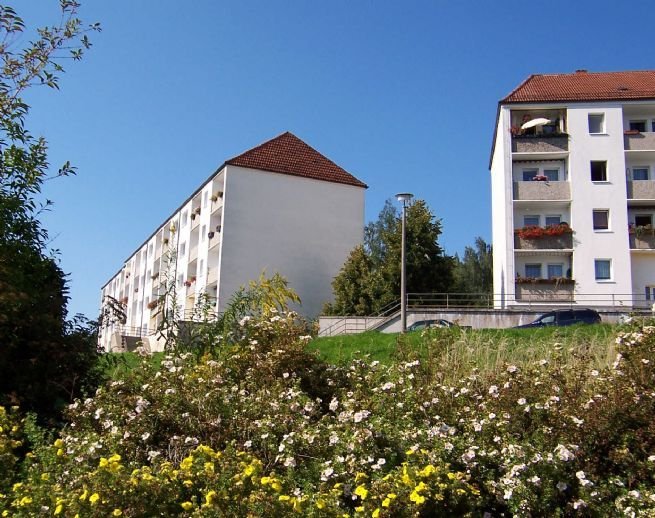 Bild der Immobilie in Sebnitz Nr. 1