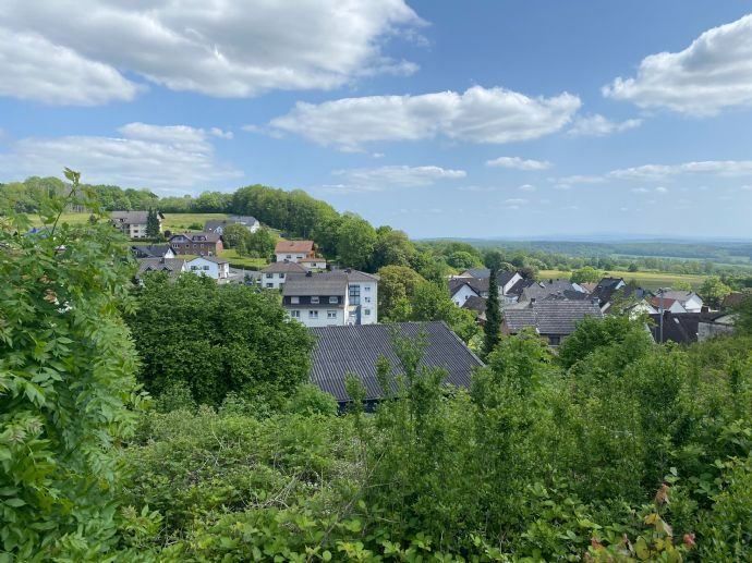 Bild der Immobilie in Waldbrunn (Westerwald) Nr. 1
