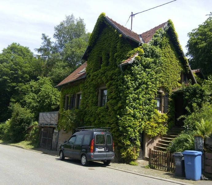Bild der Immobilie in Niederkirchen Nr. 1