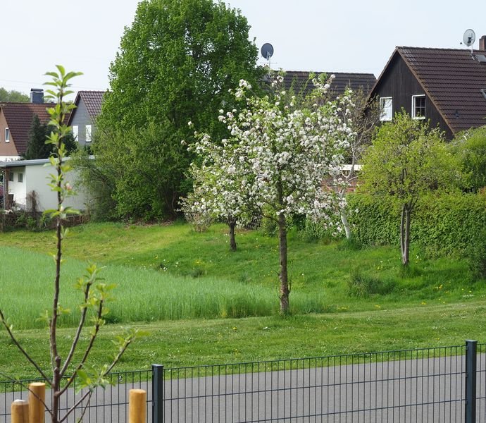 Bild der Immobilie in Oranienbaum-Wörlitz Nr. 1
