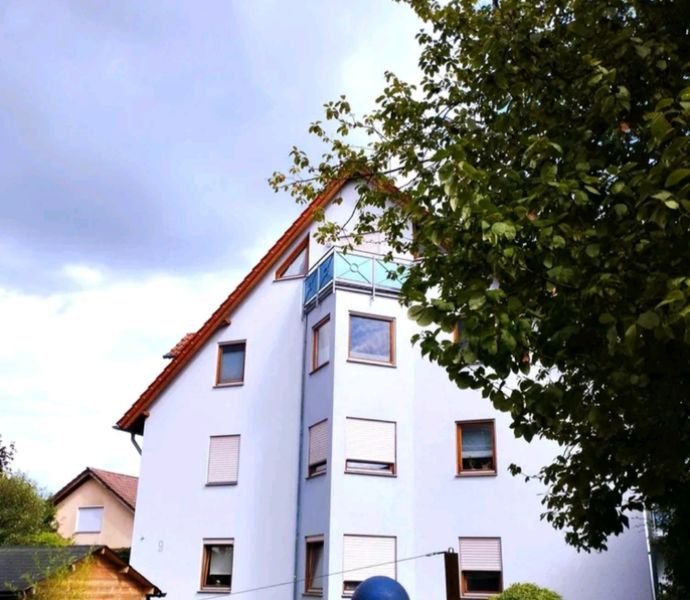 Bild der Immobilie in Hochdorf Nr. 1