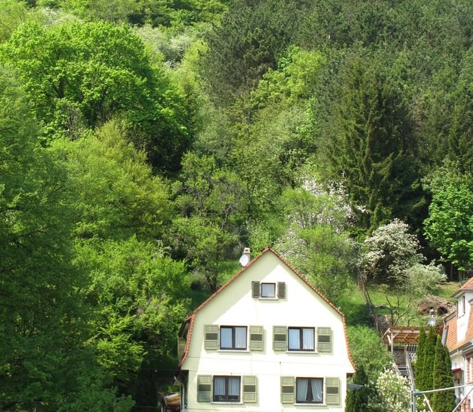Bild der Immobilie in Mosbach Nr. 1