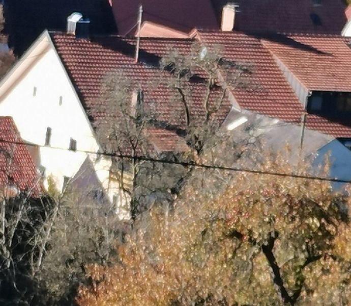 Bild der Immobilie in Blumberg Nr. 1