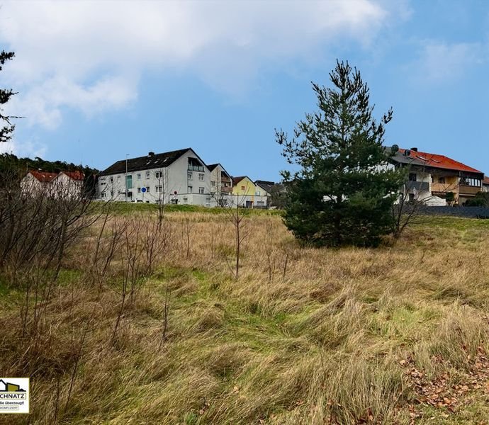 Bild der Immobilie in Erlenbach a. Main Nr. 1