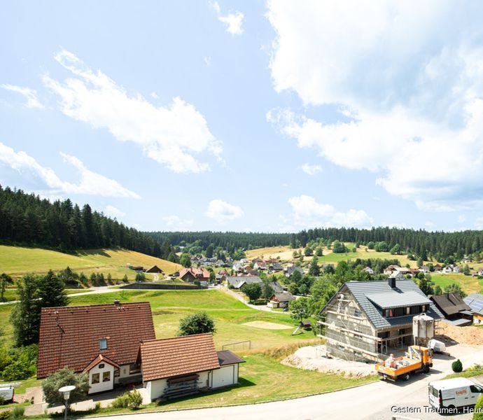 Bild der Immobilie in Eisenbach (Hochschwarzwald) Nr. 1