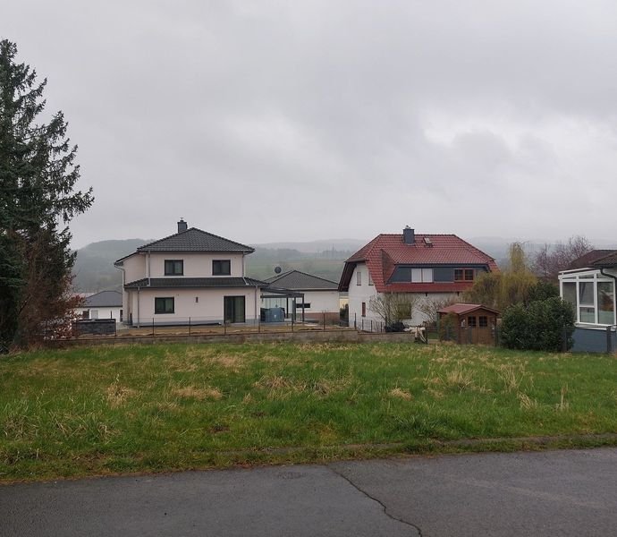 Bild der Immobilie in Steinau an der Straße Nr. 1