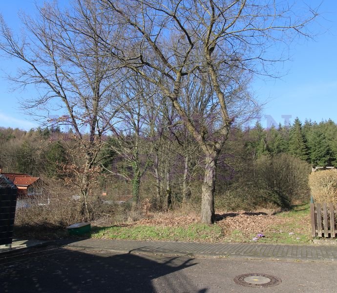 Bild der Immobilie in Spiesen-Elversberg Nr. 1