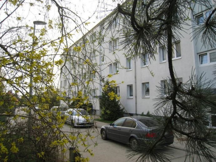 Bild der Immobilie in Kemberg Nr. 1